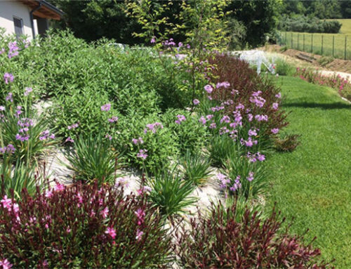 Il giardino di Villa Fioreira è pronto!