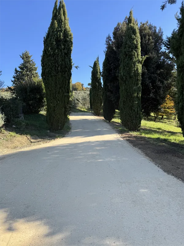 Pavimentazione Ecologica Per Strade Bianche G 09